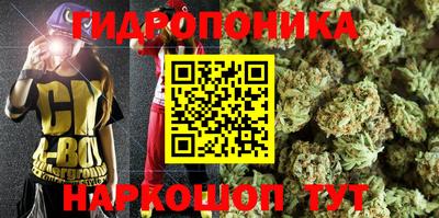 альфа пвп Гай