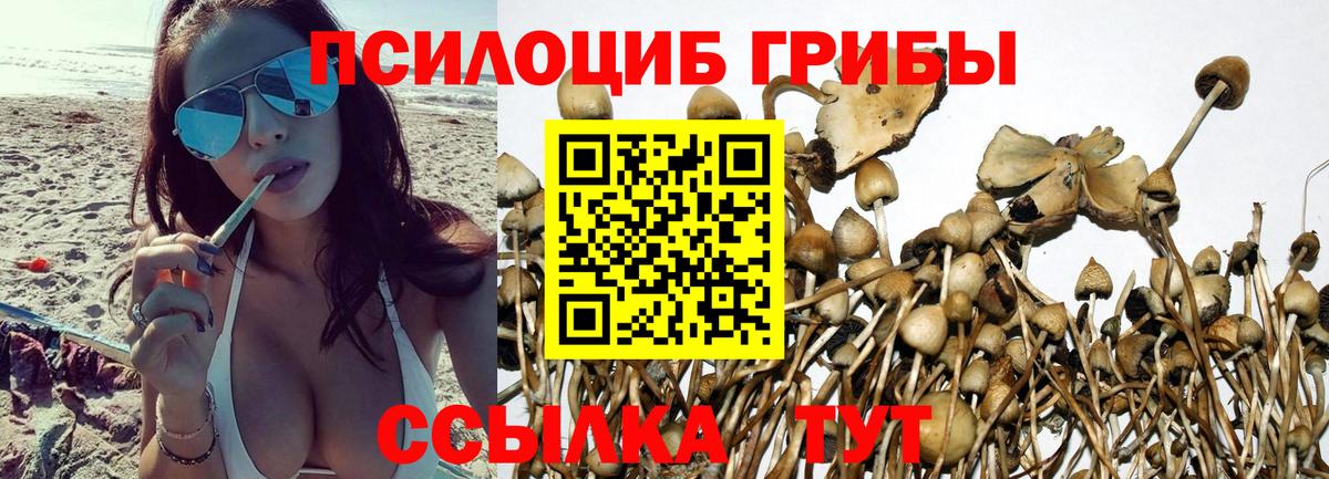 Псилоцибиновые грибы Psilocybine cubensis  Вход с VPN  Белорецк 