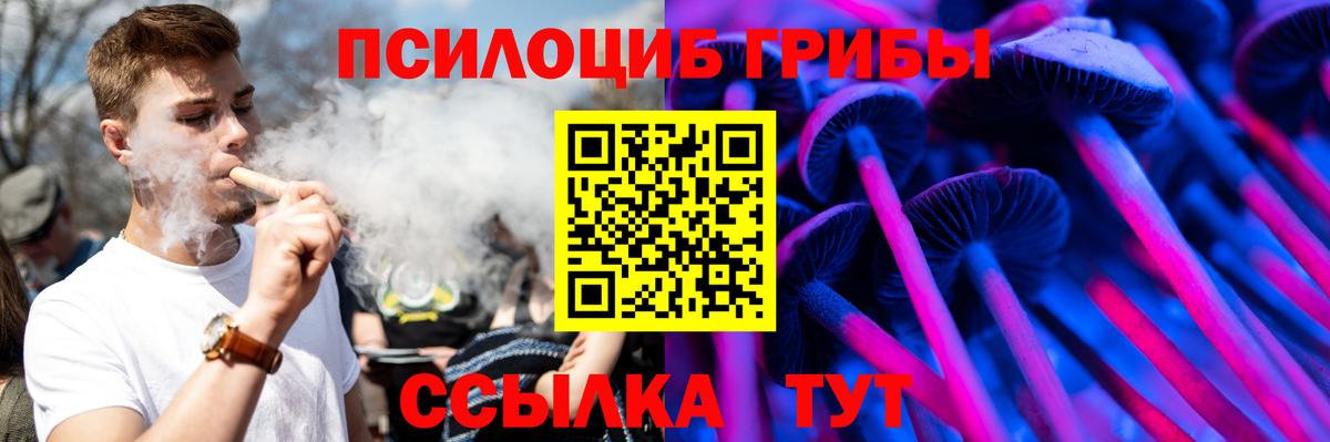 Псилоцибиновые грибы мицелий Белорецк